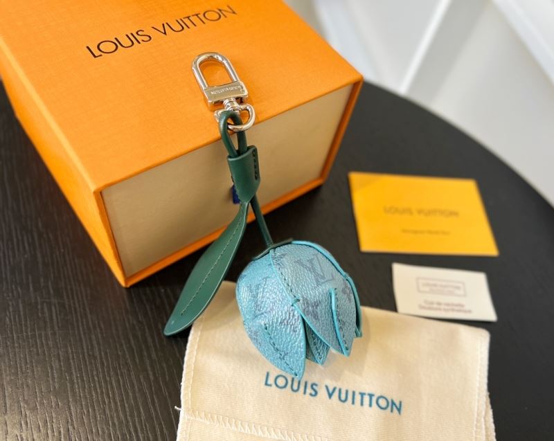 Louis Vuitton Bags Accessories